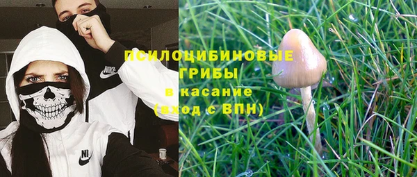 прущие крисы Михайловка